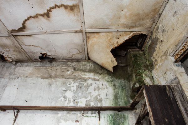 Water Damage Service in Westland
