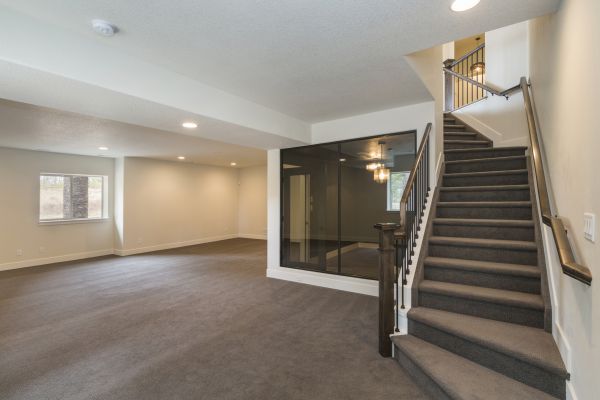 Basement Restoration Service in Westland