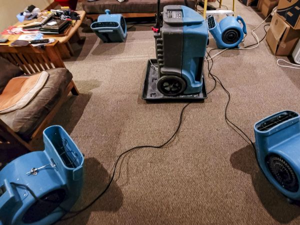 Flood Damage Recovery in Westland