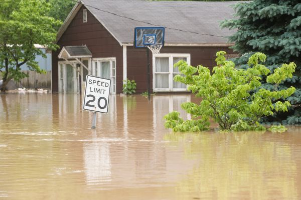 Storm Restoration Service in Westland