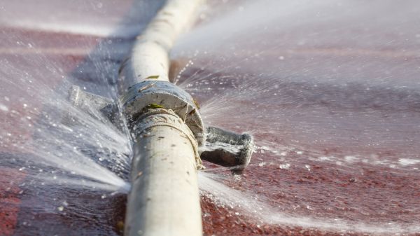 Cost of Burst Pipe Cleanup in Westland