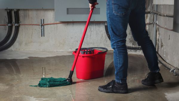 Flooded Basement Cleanup in Westland
