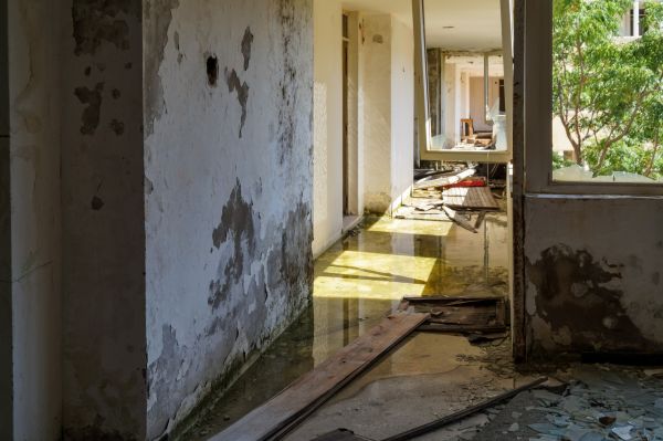 Cost of Water Removal Service in Westland