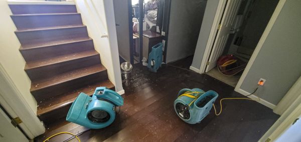 Water Damage Remediation in Westland