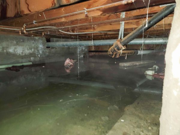 Water Mitigation Service in Westland