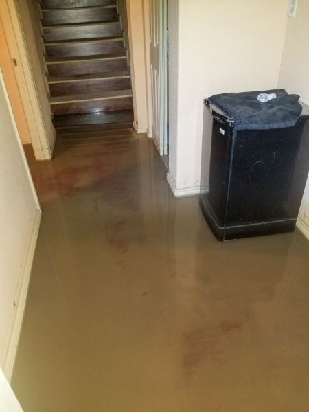 Cost of Emergency Water Removal in Westland
