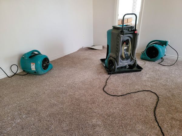 Water Damage Repair in Westland